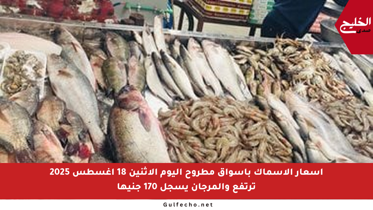 أسعار الأسماك بأسواق مطروح اليوم الإثنين 18 أغسطس 2025 ترتفع والمرجان يسجل 170 جنيها